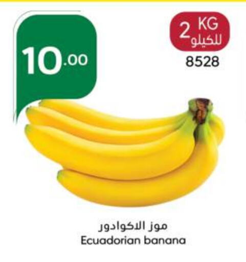 Banana from Ecuador available at Manuel Market in KSA, Saudi Arabia, Saudi - Riyadh