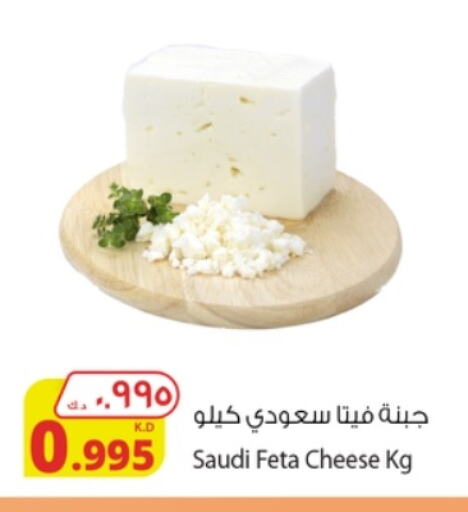 Feta available at Agricultural Food Products Co. in Kuwait - Kuwait City