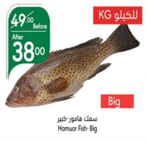 available at Manuel Market in KSA, Saudi Arabia, Saudi - Jeddah