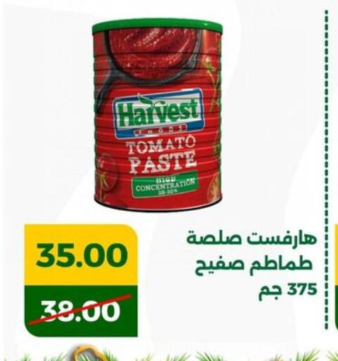 معجون طماطم available at جرين تري هايبرماركت - سوهاج in Egypt - القاهرة