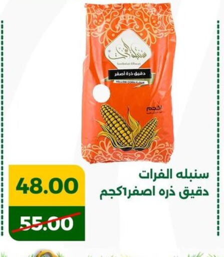 طحين الذرة available at جرين تري هايبرماركت - سوهاج in Egypt - القاهرة