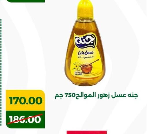 عسل available at جرين تري هايبرماركت - سوهاج in Egypt - القاهرة