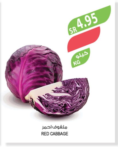 كرنب available at المزرعة in مملكة العربية السعودية, السعودية, سعودية - القطيف‎