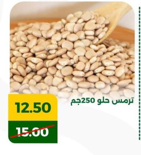 available at جرين تري هايبرماركت - سوهاج in Egypt - القاهرة