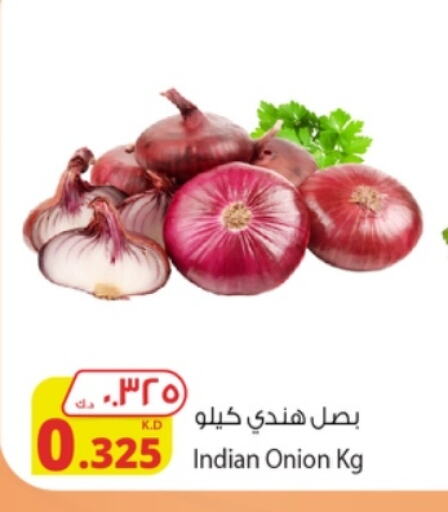 Onion from India available at Agricultural Food Products Co. in Kuwait - Kuwait City