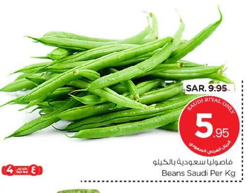 فاصوليا from Saudi Arabia available at نستو in مملكة العربية السعودية, السعودية, سعودية - الرياض