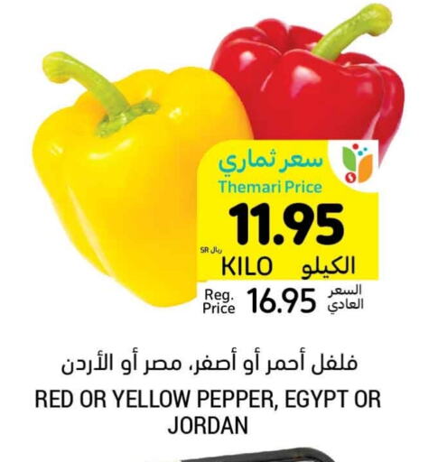 Chilli / Capsicum from Egypt Jordan available at Tamimi Market in KSA, Saudi Arabia, Saudi - Unayzah