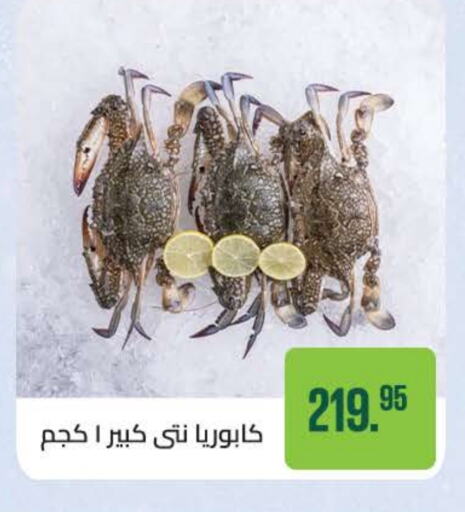 available at Seoudi Supermarket in Egypt - Cairo