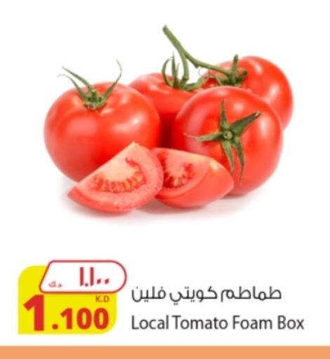 Tomato