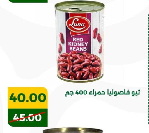 LUNA available at Green Tree Hypermarket - Sohag in Egypt - Cairo