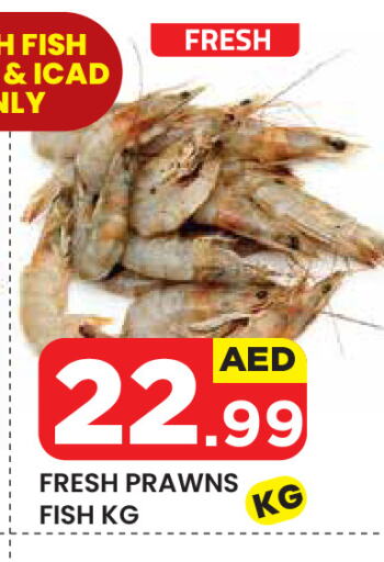 available at سنابل بني ياس in الإمارات العربية المتحدة , الامارات - ٱلْعَيْن‎