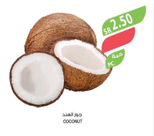 Coconut available at المزرعة in مملكة العربية السعودية, السعودية, سعودية - القطيف‎