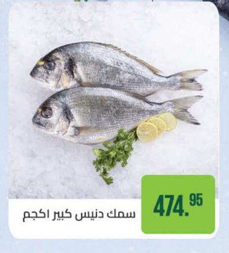 available at Seoudi Supermarket in Egypt - Cairo