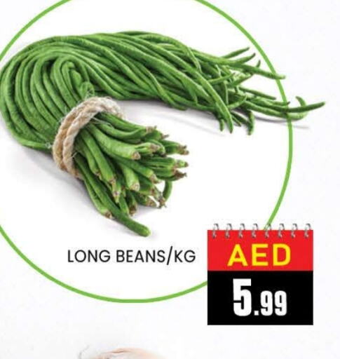 فاصوليا available at المدينة in الإمارات العربية المتحدة , الامارات - دبي