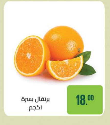 Orange available at Seoudi Supermarket in Egypt - Cairo