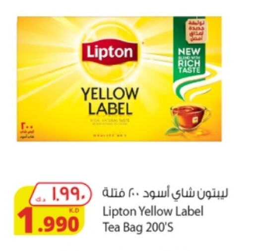 Tea Bags available at Agricultural Food Products Co. in Kuwait - Ahmadi Governorate