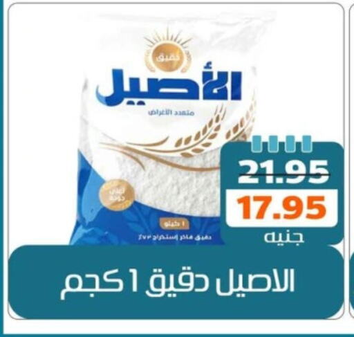 طحين متعدد الاستعمالات available at Mekkawy market  in Egypt - القاهرة