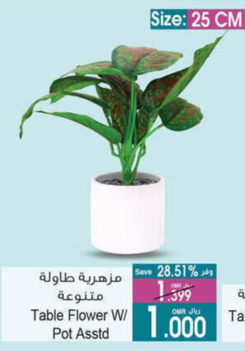 available at A & H in Oman - Salalah