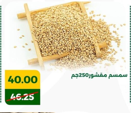 available at جرين تري هايبرماركت - سوهاج in Egypt - القاهرة