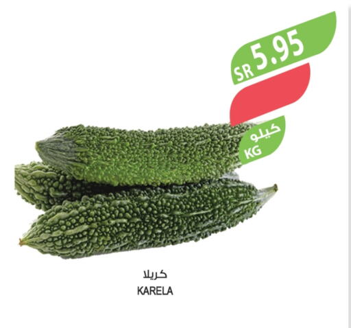 available at المزرعة in مملكة العربية السعودية, السعودية, سعودية - القطيف‎