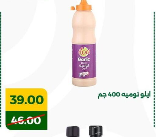 Garlic available at جرين تري هايبرماركت - سوهاج in Egypt - القاهرة