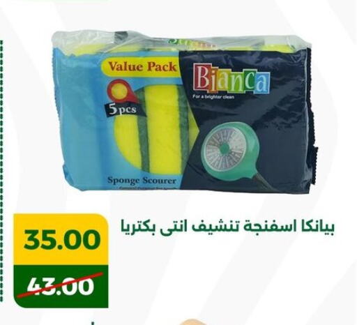 Cleaning Aid available at Green Tree Hypermarket - Sohag in Egypt - Cairo