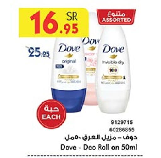 DOVE   in Bin Dawood in KSA, Saudi Arabia, Saudi - Medina