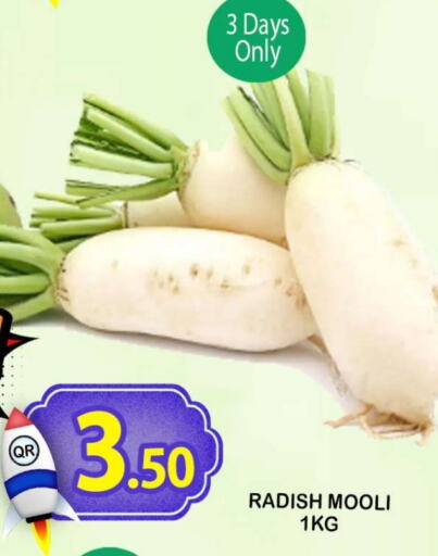  Radish  in Dubai Shopping Center in Qatar - Al Wakra