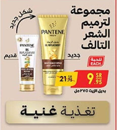 PANTENE   in Bin Dawood in KSA, Saudi Arabia, Saudi - Medina