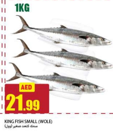  King Fish  in Rawabi Market Ajman in UAE - Sharjah / Ajman