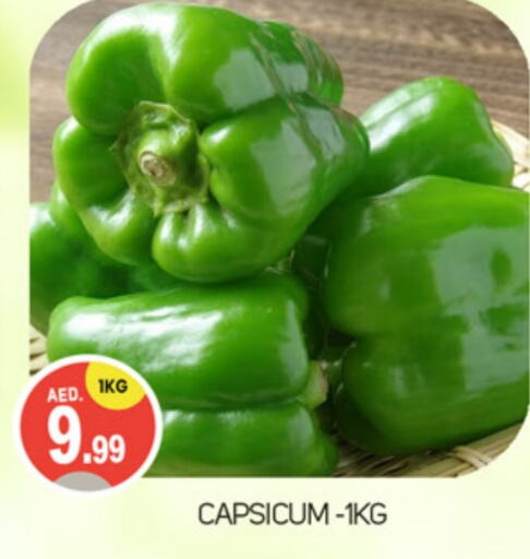  Chilli / Capsicum  in TALAL MARKET in UAE - Dubai