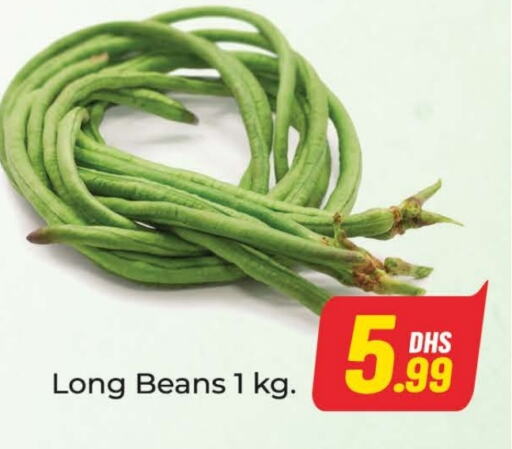  Beans  in Azhar Al Madina Hypermarket in UAE - Dubai