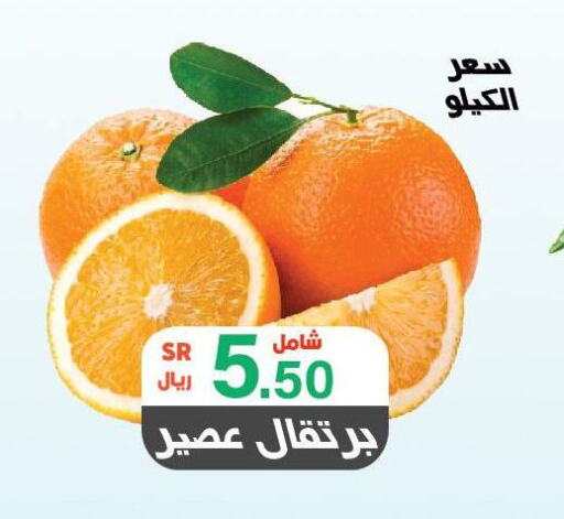  Orange  in Al Rasheed Markets in KSA, Saudi Arabia, Saudi - Riyadh