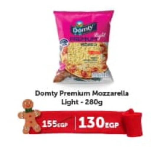 DOMTY Mozzarella  in Gourmet Food Stores in Egypt - Cairo