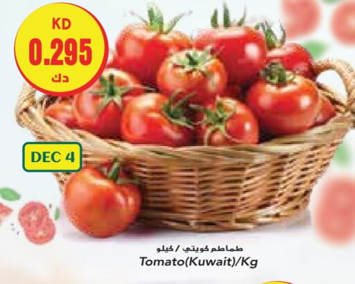  Tomato  in Grand Costo in Kuwait - Kuwait City