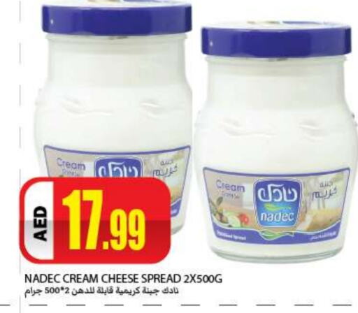 NADEC Cream Cheese  in Rawabi Market Ajman in UAE - Sharjah / Ajman