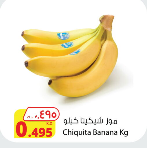  Banana  in Agricultural Food Products Co. in Kuwait - Kuwait City