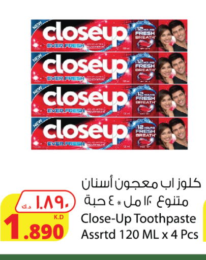 CLOSE UP Toothpaste  in Agricultural Food Products Co. in Kuwait - Kuwait City