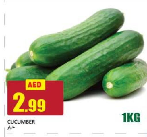  Cucumber  in Rawabi Market Ajman in UAE - Sharjah / Ajman