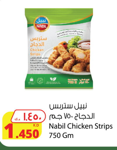  Chicken Strips  in Agricultural Food Products Co. in Kuwait - Ahmadi Governorate