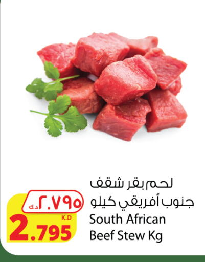  Beef  in Agricultural Food Products Co. in Kuwait - Jahra Governorate