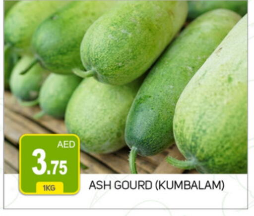  Gourd  in TALAL MARKET in UAE - Dubai