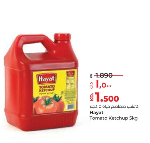 HAYAT Tomato Ketchup  in Lulu Hypermarket  in Kuwait - Kuwait City