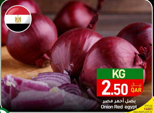  Onion  in SPAR in Qatar - Doha