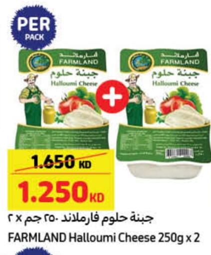  Halloumi  in Carrefour in Kuwait - Jahra Governorate