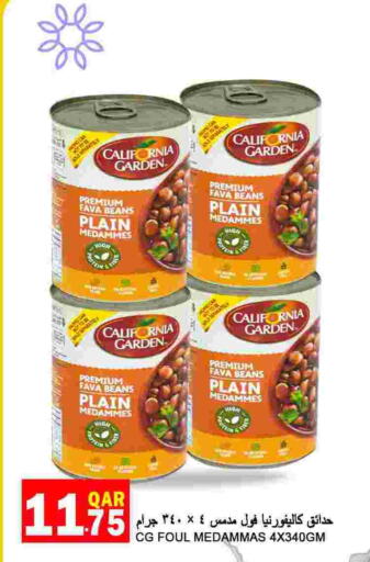 CALIFORNIA Fava Beans  in Food Palace Hypermarket in Qatar - Al Wakra