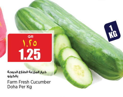  Cucumber  in Retail Mart in Qatar - Al Wakra