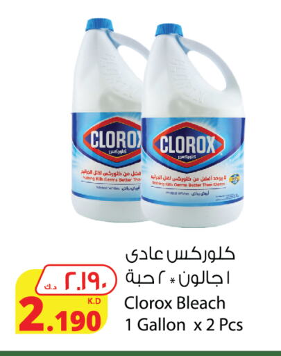 CLOROX Bleach  in Agricultural Food Products Co. in Kuwait - Kuwait City