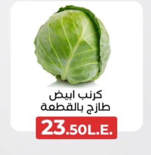  Cabbage  in Arafa Market in Egypt - Cairo