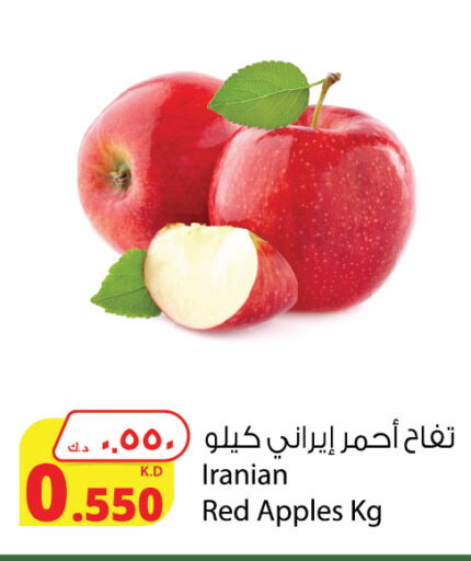  Apples  in Agricultural Food Products Co. in Kuwait - Jahra Governorate